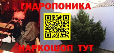 мяу мяу мука Северобайкальск