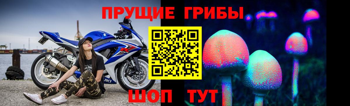 Озёрск  Галлюциногенные грибы прущие грибы  Вход с VPN  Псилоцибиновые грибы Psilocybine cubensis 